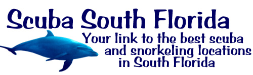 scuba south florida